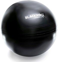 Blackroll Gymbal - Fitnessbal - Zwart - 65 cm