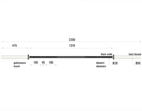 Toorx Professional BO-450 Cross Challenge Halterstang - 220 cm-2