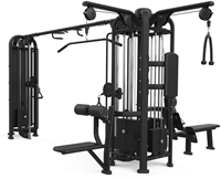Toorx Professional CSX-9200 Multi Jungle Crossover 5-stack-2
