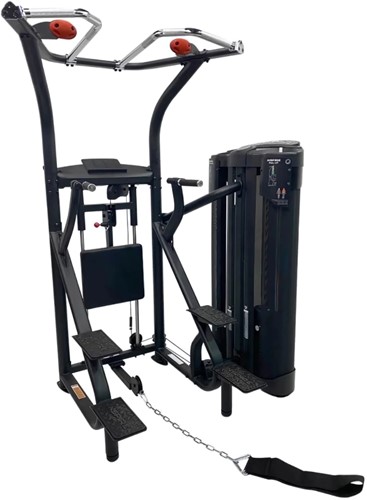 Inspire DUAL Station Chin Up