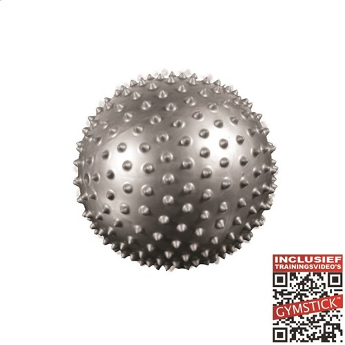 Gymstick Pilates Bal - 20 cm - Grijs