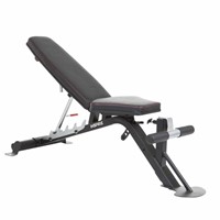 Inspire Maximum Verstelbare Trainingsbank FT2