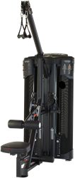 Inspire Maximum DUAL Krachtstation - Lat en Low Row