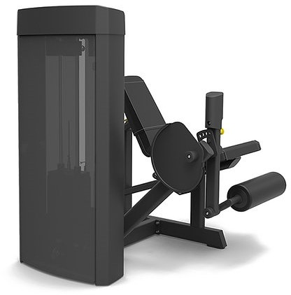 Spirit Fitness Leg Extension-2