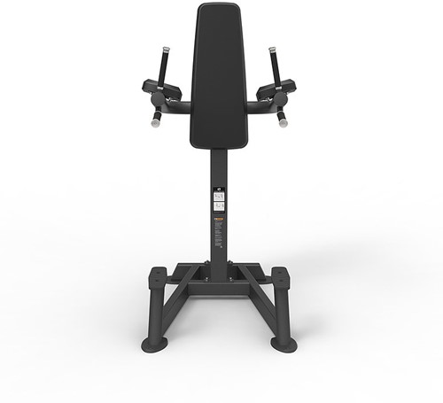 Spirit Fitness Leg Raise, Knee Raise & Dip Station-2