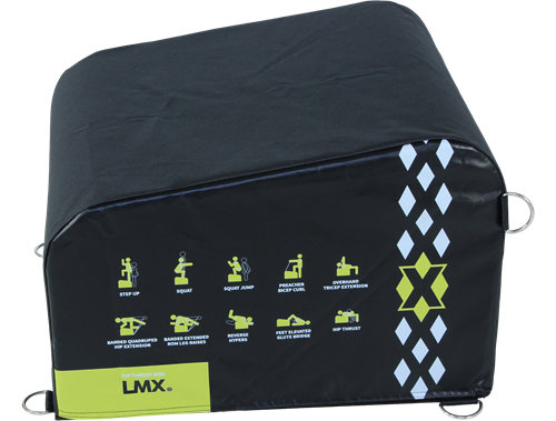 Lifemaxx LMX Hip Thrust Box-2