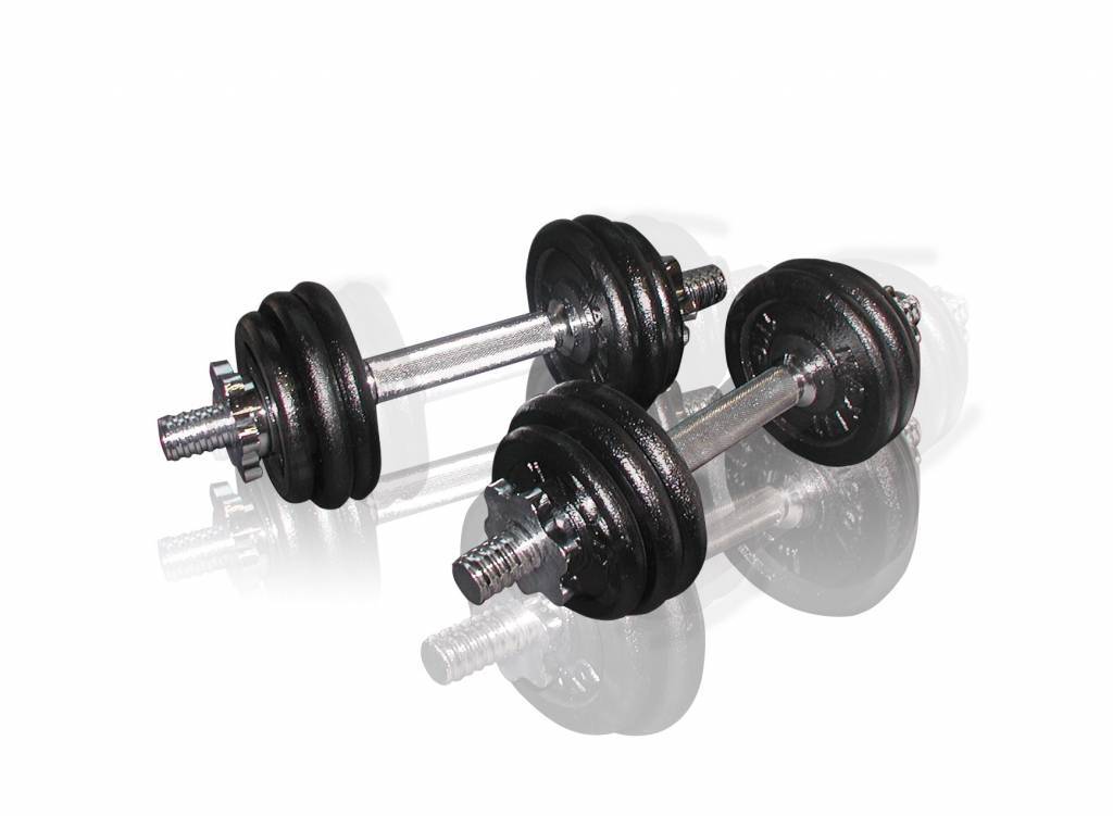 Toorx Fitness Dumbbellset Gietijzer 2 X 75 Kg 15 Kg toorx kopen in de aanbieding