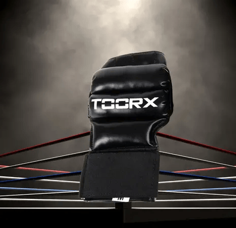 Toorx bokshandschoen met achtergrond