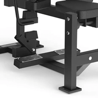 Toorx Professional Avant Seated Calf FWX-7800-2
