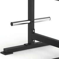 Toorx Professional Avant Standing Lateral Raise FWX-6550-3