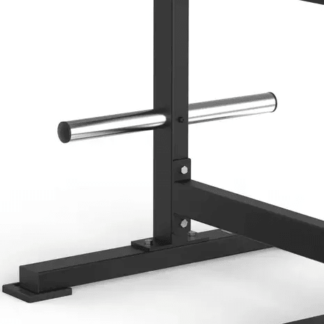 Toorx Professional Avant Standing Lateral Raise FWX-6550-3