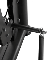 Toorx Professional Unilateral Chest Press PLX-6000-3