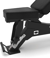 Toorx Professional WBX-950
