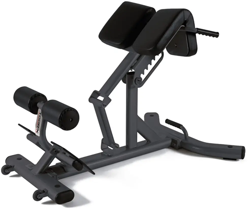 Toorx Professional WBX-B2600 Back Extension